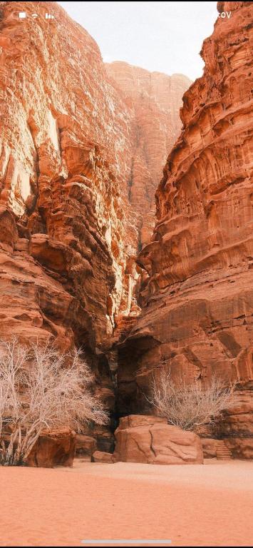 a canyon with red rocks in the desert at Salem Wadi Rum Road in Wadi Rum