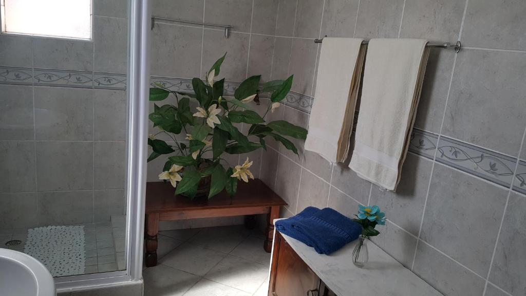 Westcoast Central Budget Vredenburg (updated prices 2024)