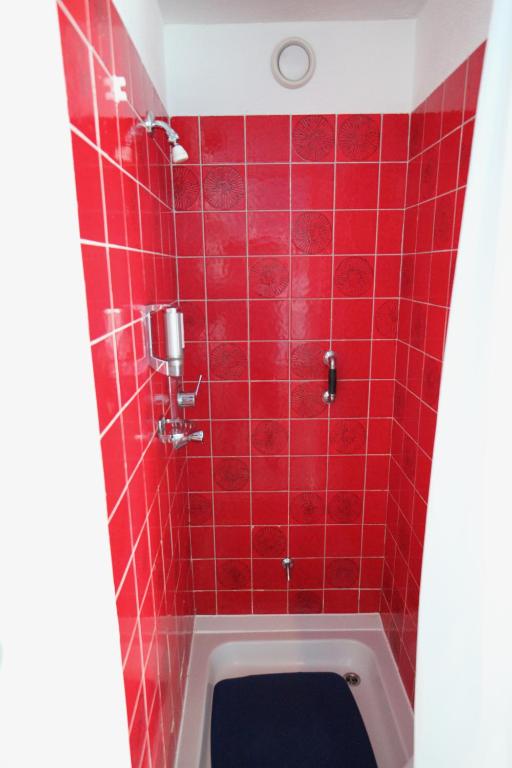 Koupelna v ubytování New renovated apartment in center of Davos