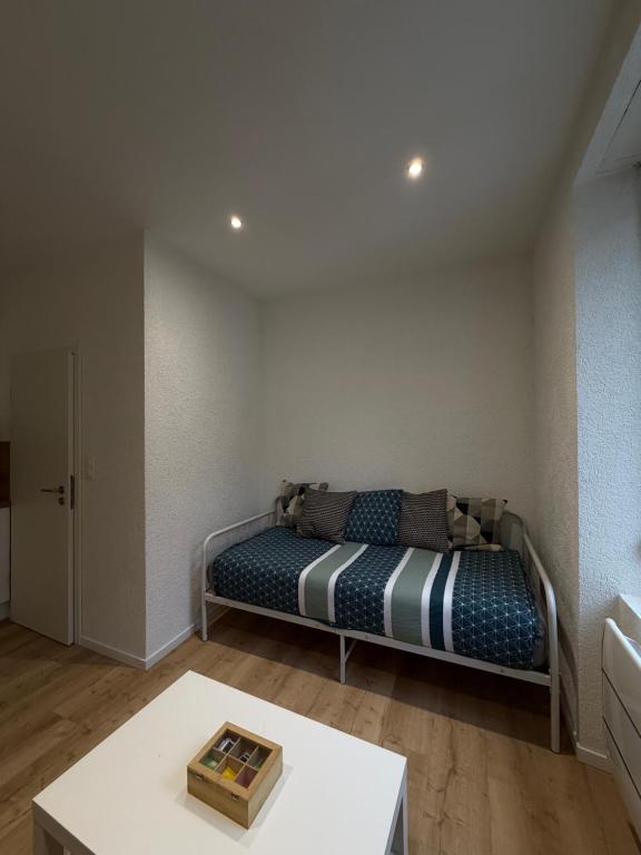 Le 13 - Petit F2 rénové Mulhouse centre - stationnement gratuit – photo 7