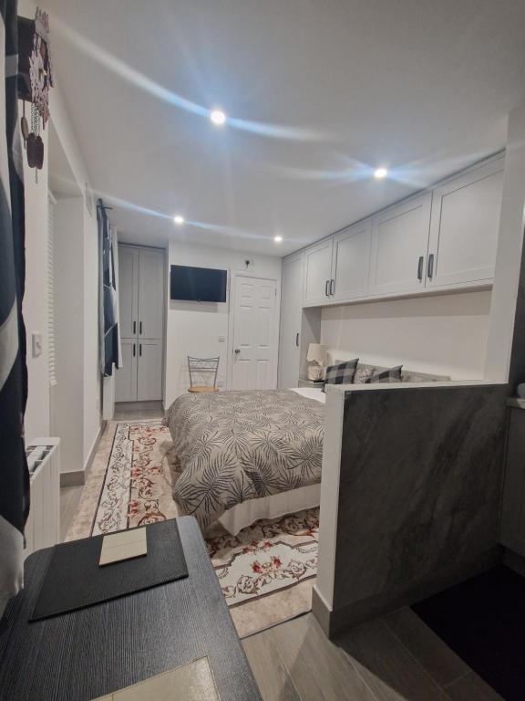 a bedroom with a large bed in a room at The Garden Studio in Dublin
