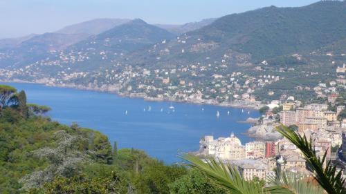 a view of a large body of water with a city at Villa Rosmarino in Camogli