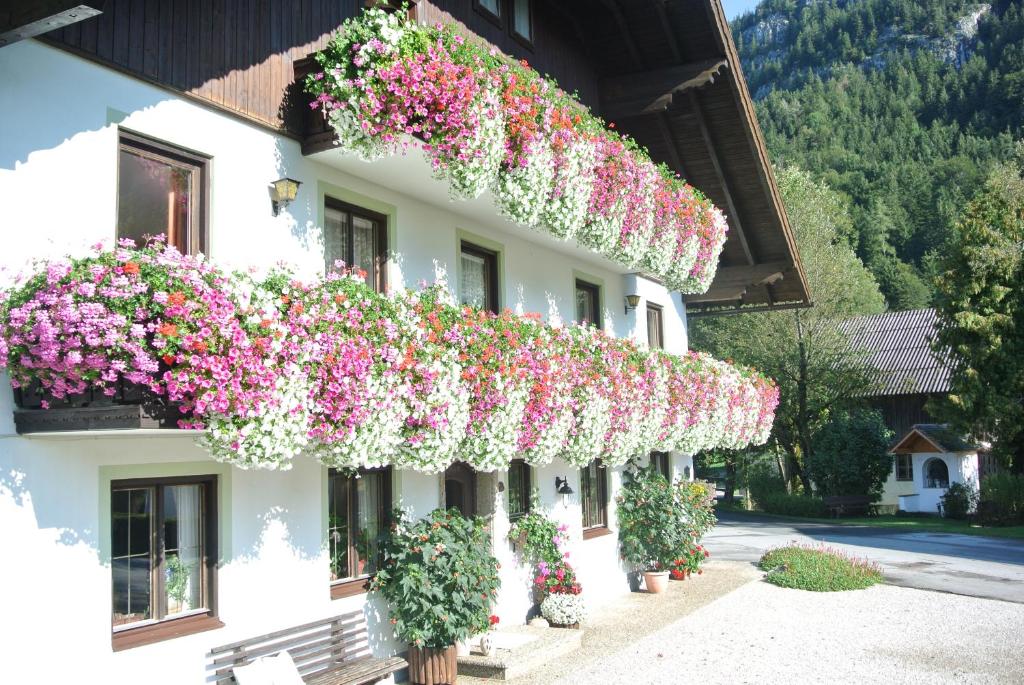 フシュル・アム・ゼーにあるTreindlhofの花の横の建物