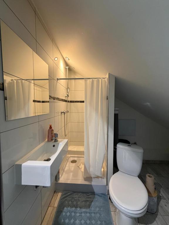 Le 5 - Beau Studio rénové, tout équipé, au calme, Mulhouse centre - stationnement gratuit – photo 3