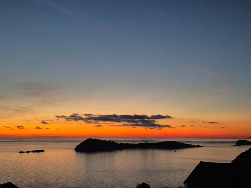 Apartments Joy - Housity