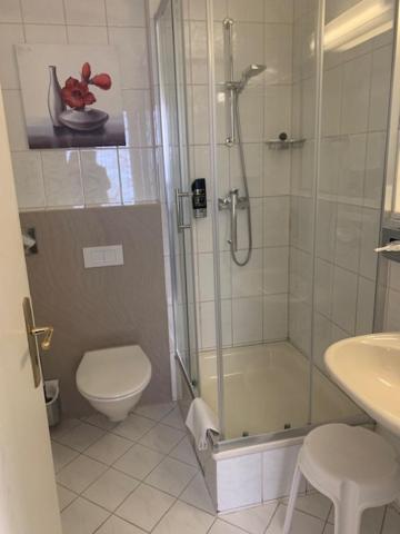 Hotel Schwarzes Ross Siebenlehn - Double Room