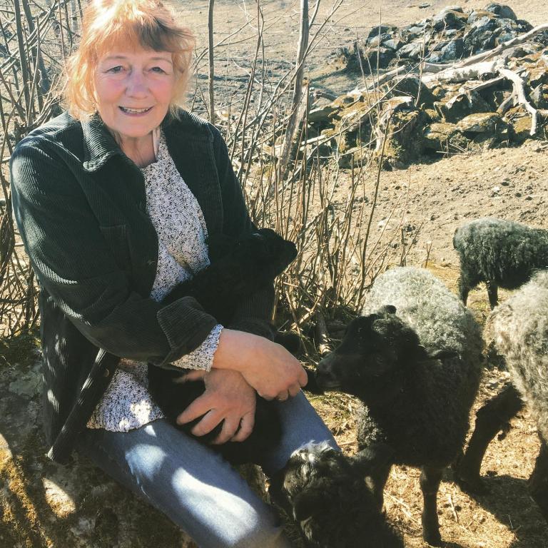 a woman is sitting next to some sheep at Henneviken BnB in Ed