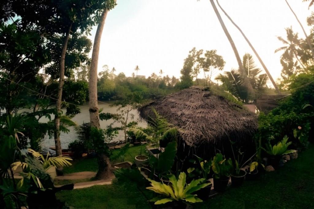 a garden with a small hut and a river at Eagle Point Riverside Stay in Weligama
