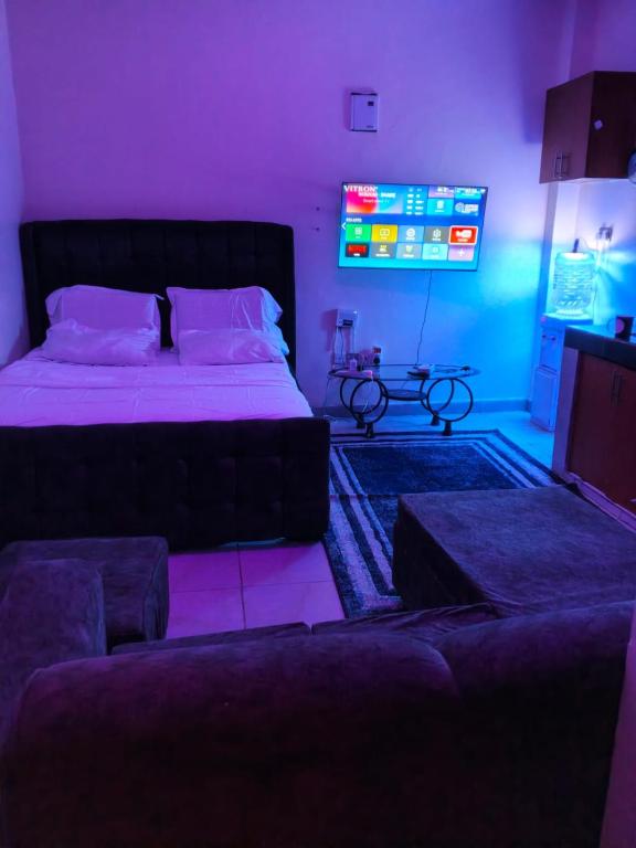 a bedroom with a bed and a tv and a couch at Silverline Suite in Kitengela 