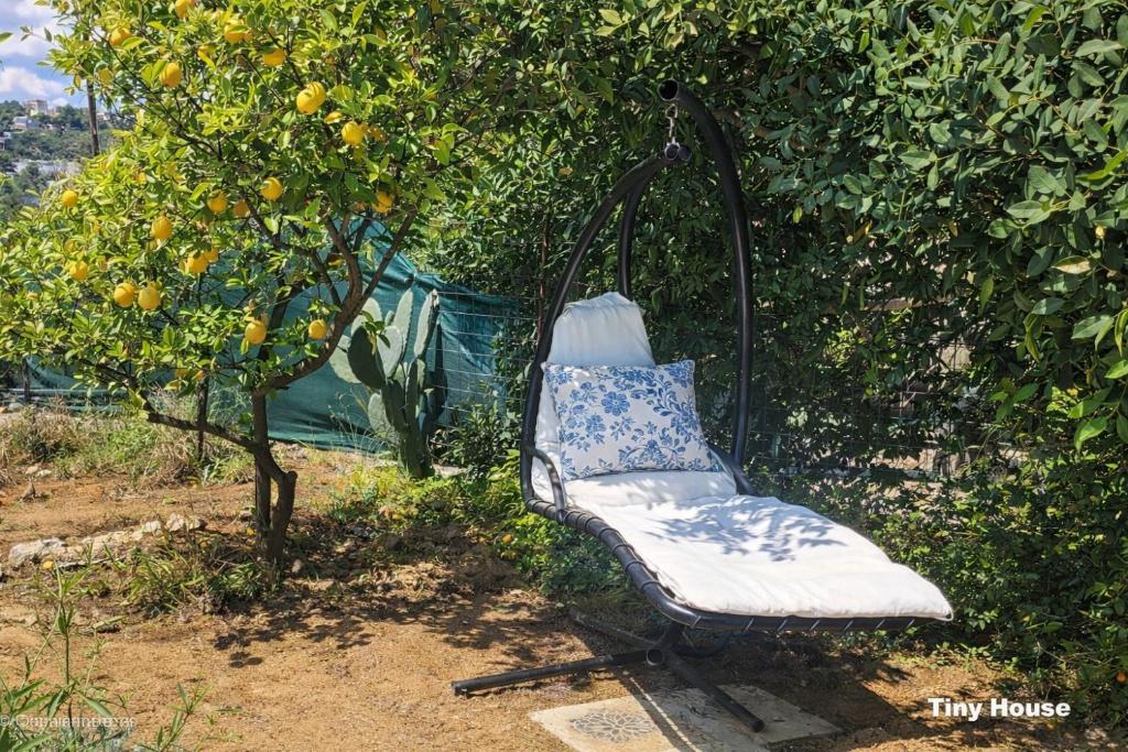 Pure Crete - Tiny House & Luxury Tent - 19