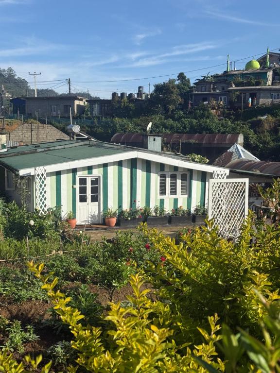 a house with a green and white at Blackpool Farm House in Nuwara Eliya