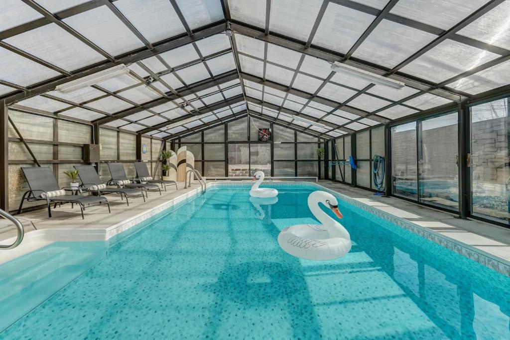 a swimming pool with two swans in a building at Urban Float in Colorado Springs