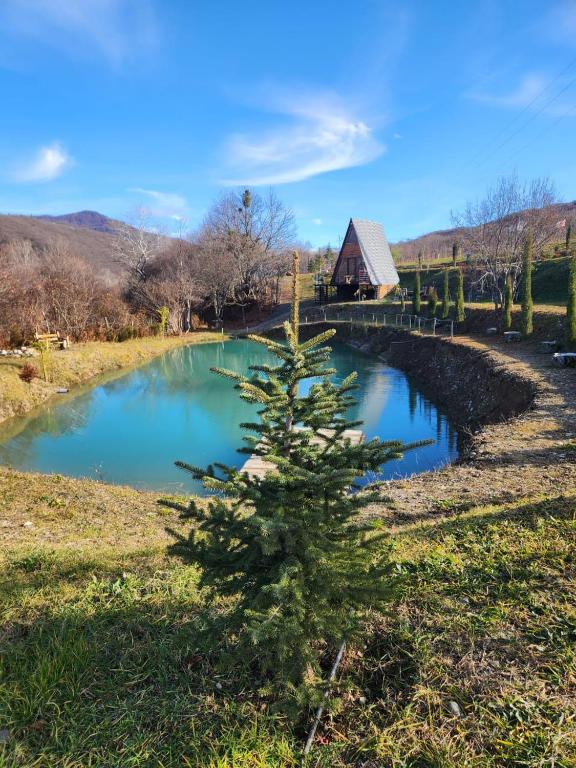 a christmas tree in the middle of a pond at Colorful Space in Kotoraantkari