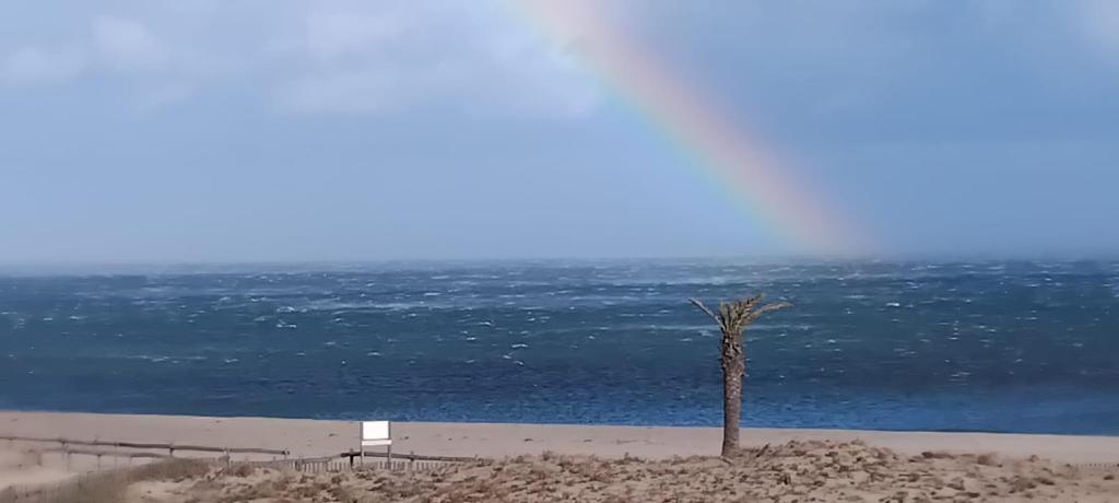 Magnifique T2 vue imprenable sur mer acces direct plage