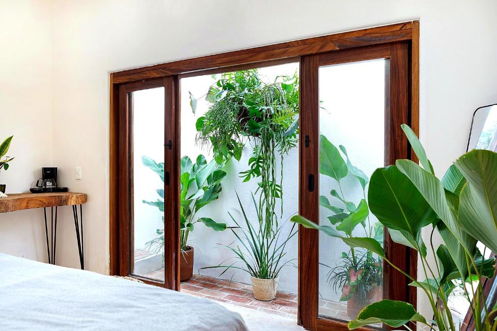 Amari Sayulita Boutique Hotel - Superior Zimmer Mit Kingsize-Bett