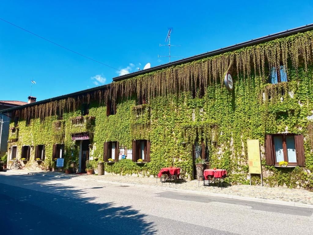 a building covered in ivy with two red chairs at Principato Di Ariis Hotel 3 stelle Room Only in Rivignano