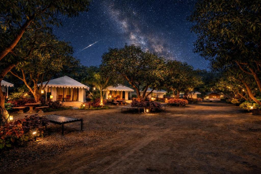 a park at night with a starry sky and trees at Amber Resort in Sasan Gir