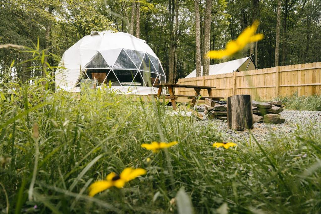 a yurt in the woods with a field of flowers at Ferncrest Campground in Greentown