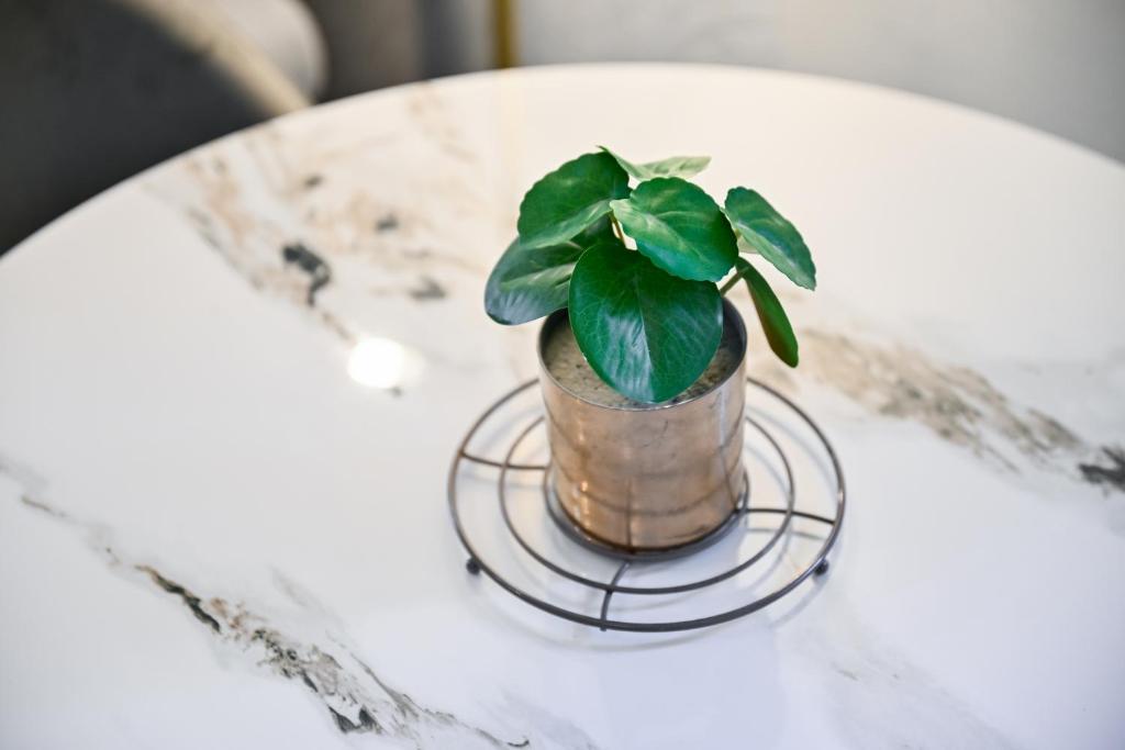 Apartment Populare - 15