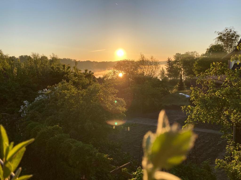 a sunset over a field with the sun in the distance at Ferienwohnung Seeblick in Wustrow