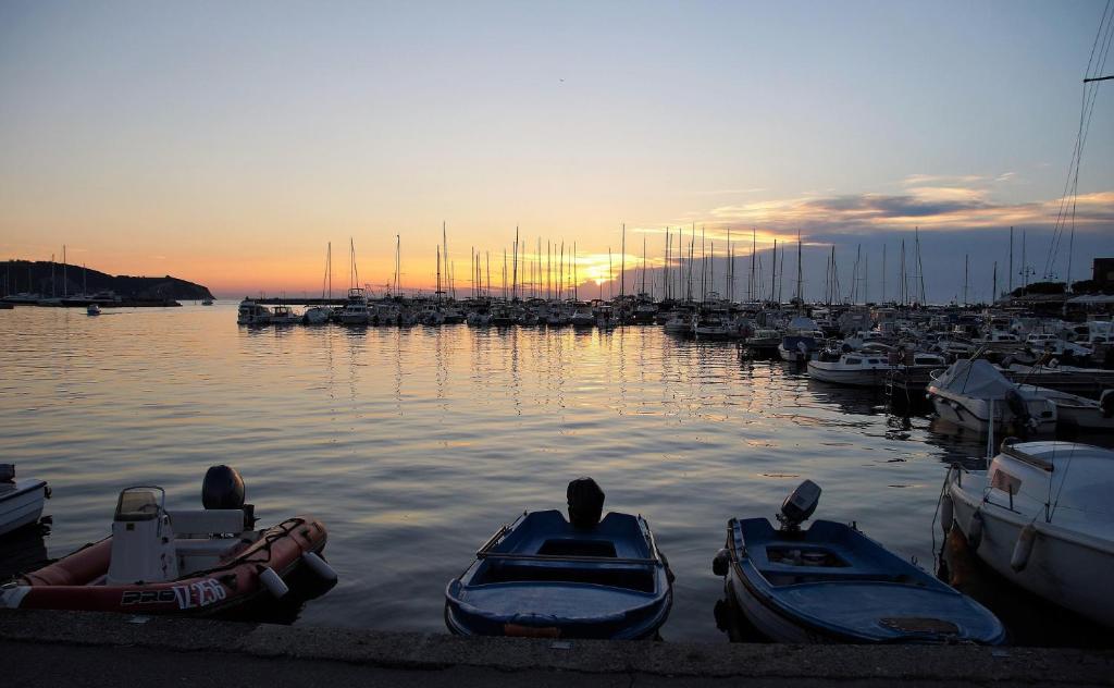 a group of boats docked in a marina at sunset at Fisherman's Lounge in Izola