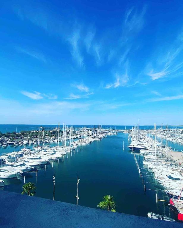 Chez Bruno - Magnifique studio vue imprenable port & mer