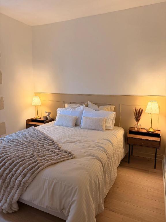 Appartement Jazz - Hyper Centre Vienne - Garage