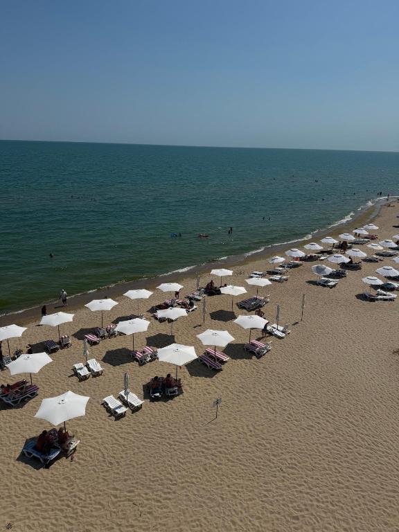 a group of umbrellas and chairs on a beach at Villa Vi-Ta in Zatoka