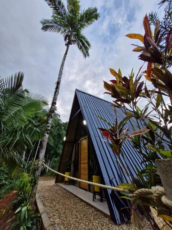 a house with a blue roof and a palm tree at Chalé a 500 metros do Pico Malwee in Jaraguá do Sul
