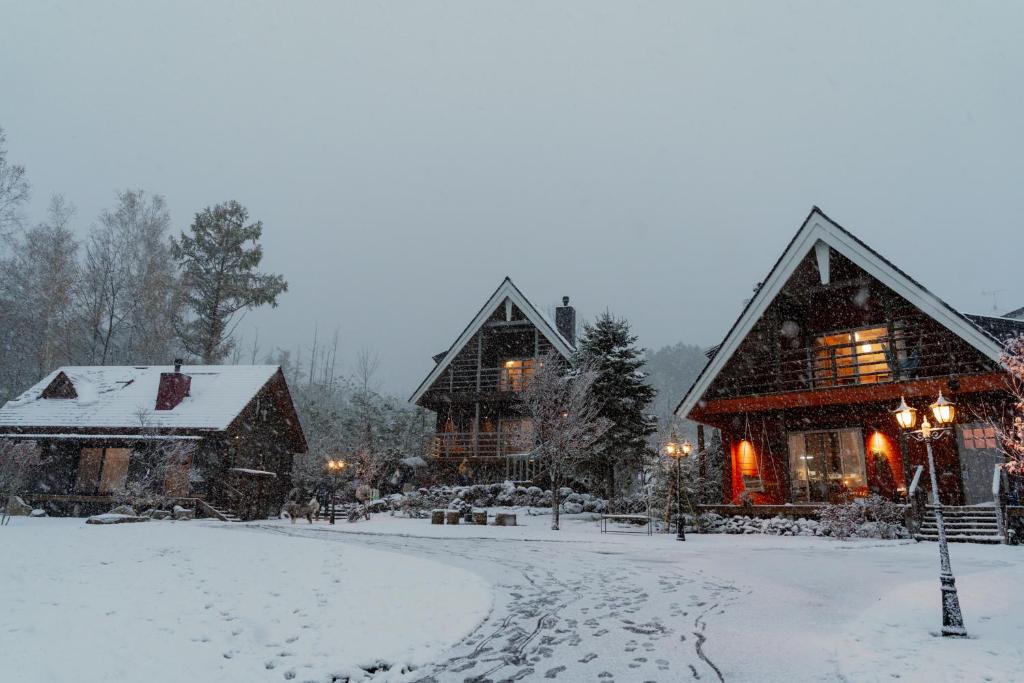 Best Day Ever Furano Lodges