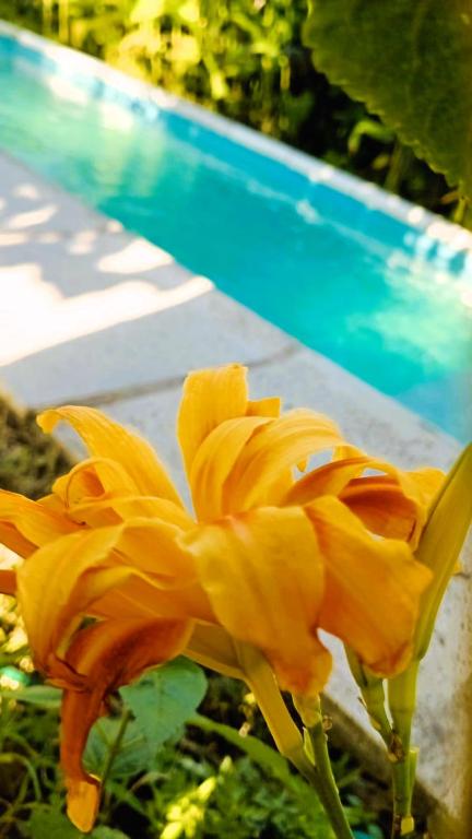 Departamento Valle de Luz