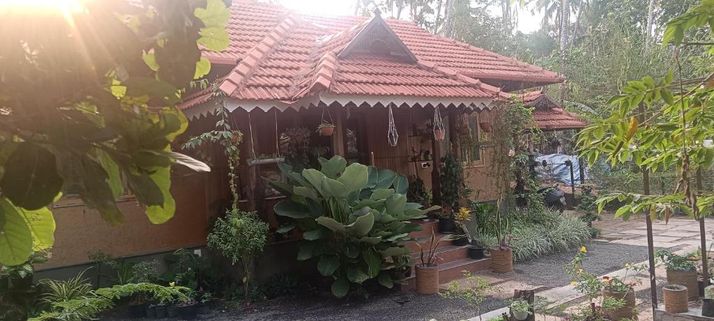 a small house with a cactus in front of it at Puthooram Veedu in Kannur