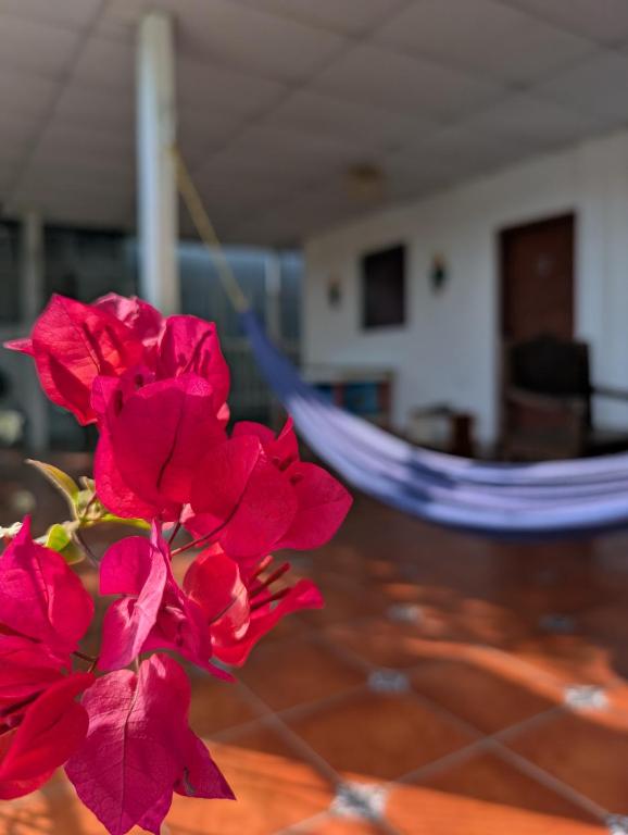Casa Liz