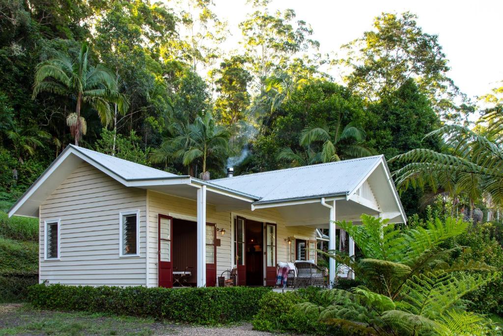 a small white house in the middle of a forest at Nightcap Ridge - Byron Bay Hinterland in Dorroughby