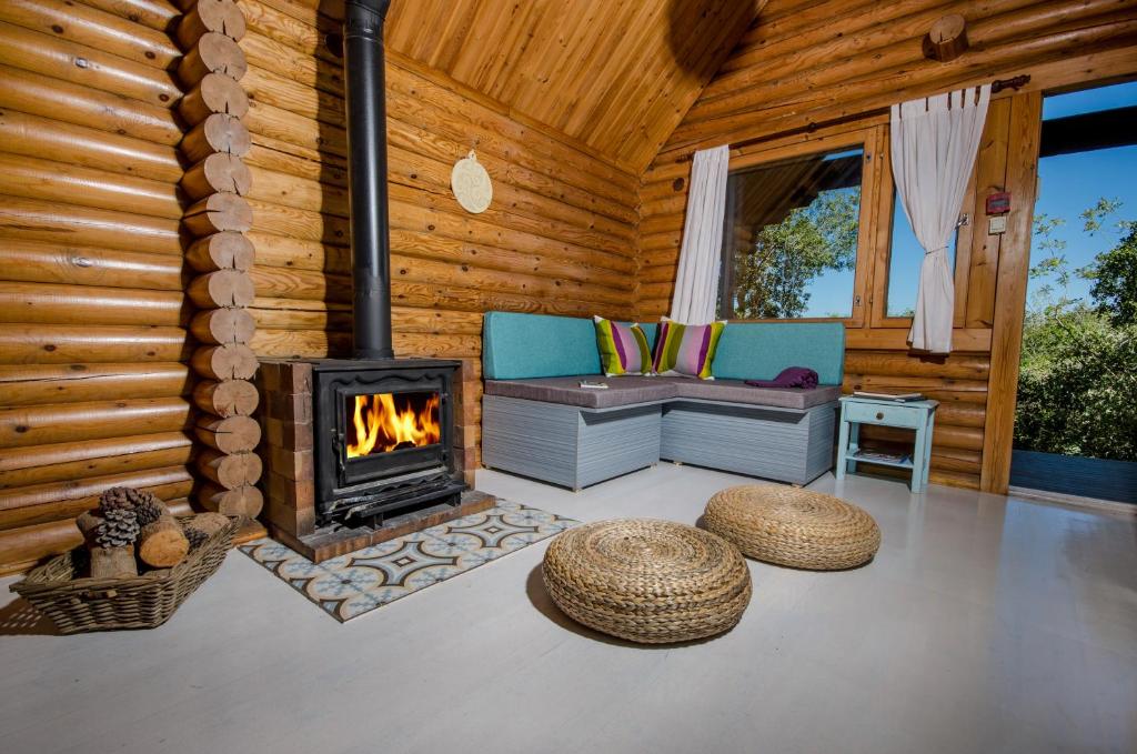 a living room with a fireplace in a log cabin at The Scandinavian Village-Teva BaHar in H̱aluẕ