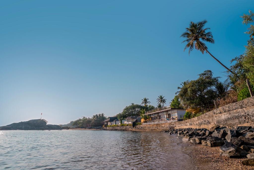 a beach with a palm tree and a body of water at Dhanrains La Rocha in Patnem