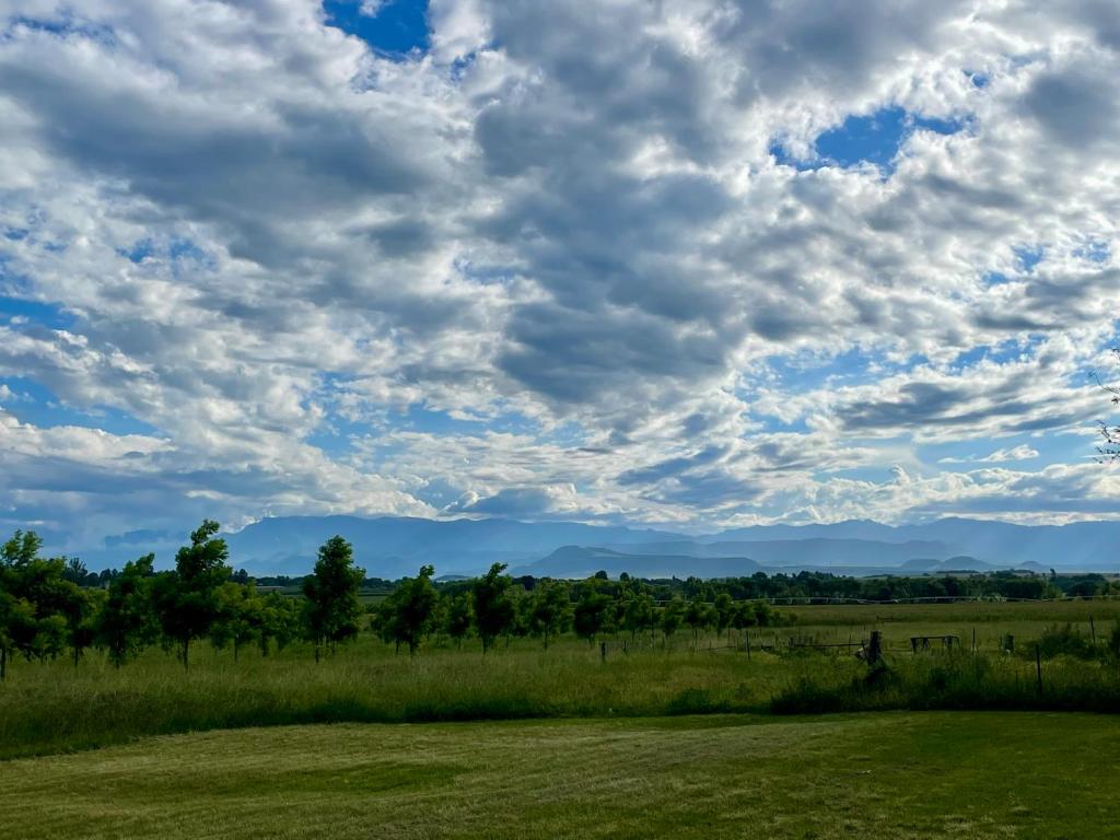 a field with trees and a cloudy sky at Pecan Tree Haven in Winterton