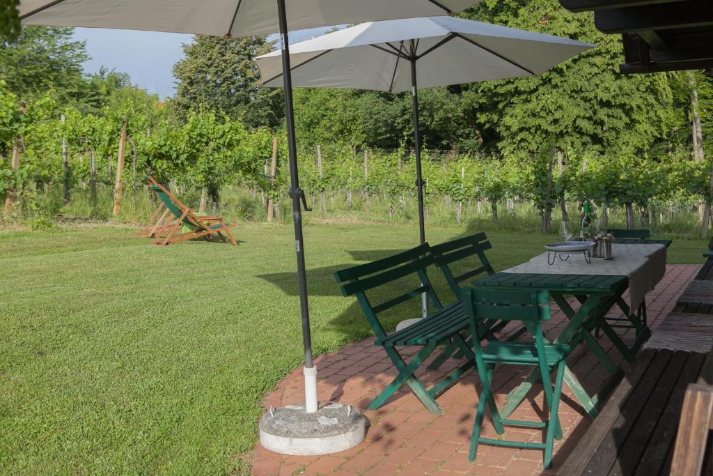 Vrt pred nastanitvijo Ferienhaus Neubauer