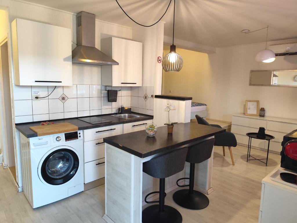 a kitchen with a washer and dryer in a room at Ivana Apartment in Rabac
