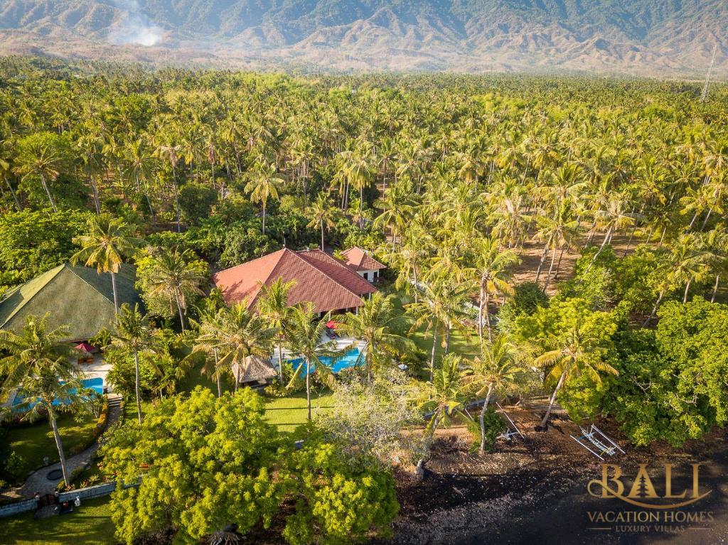 an aerial view of a resort with palm trees at Villa Burung, Bali - Breathtaking oceanfront, infinity pool in Tegallengah