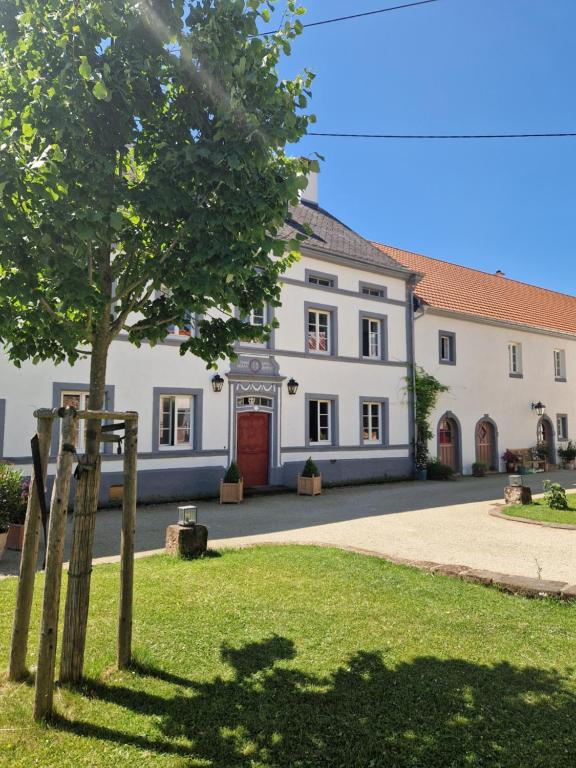 a large white building with a tree in front of it at Gutshaus De La Fontaine in Feilsdorf