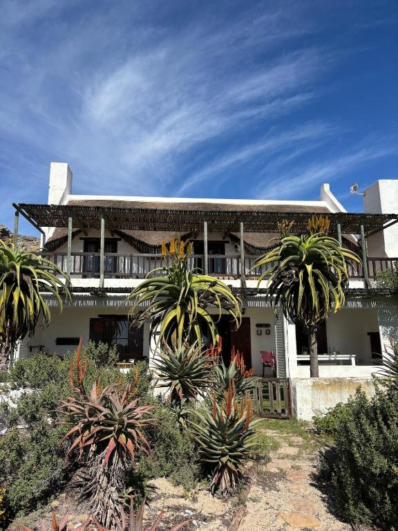 a house with palm trees in front of it at Elands Bay Beach Villa in Elands Bay