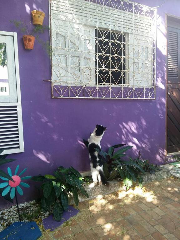  Hostel Margo