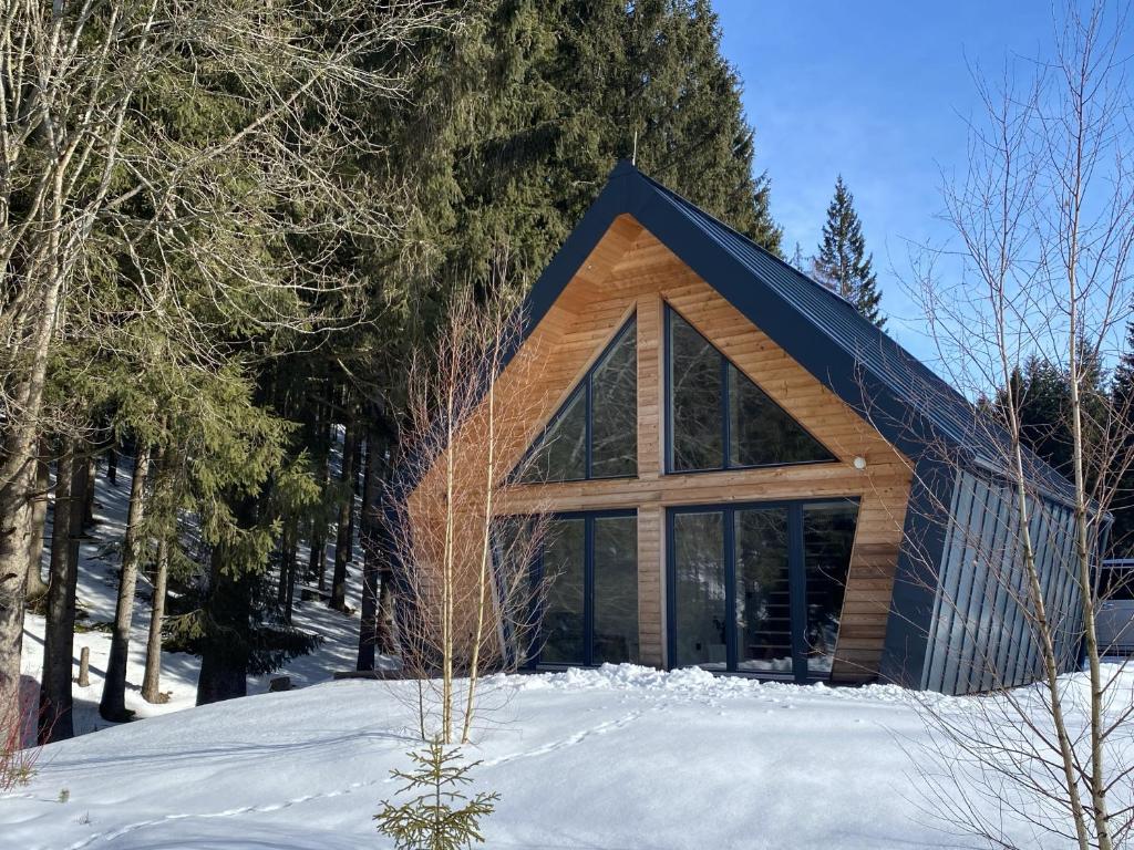 a house with a black roof in the snow at Chalet Belveder SPORT in Železná Ruda