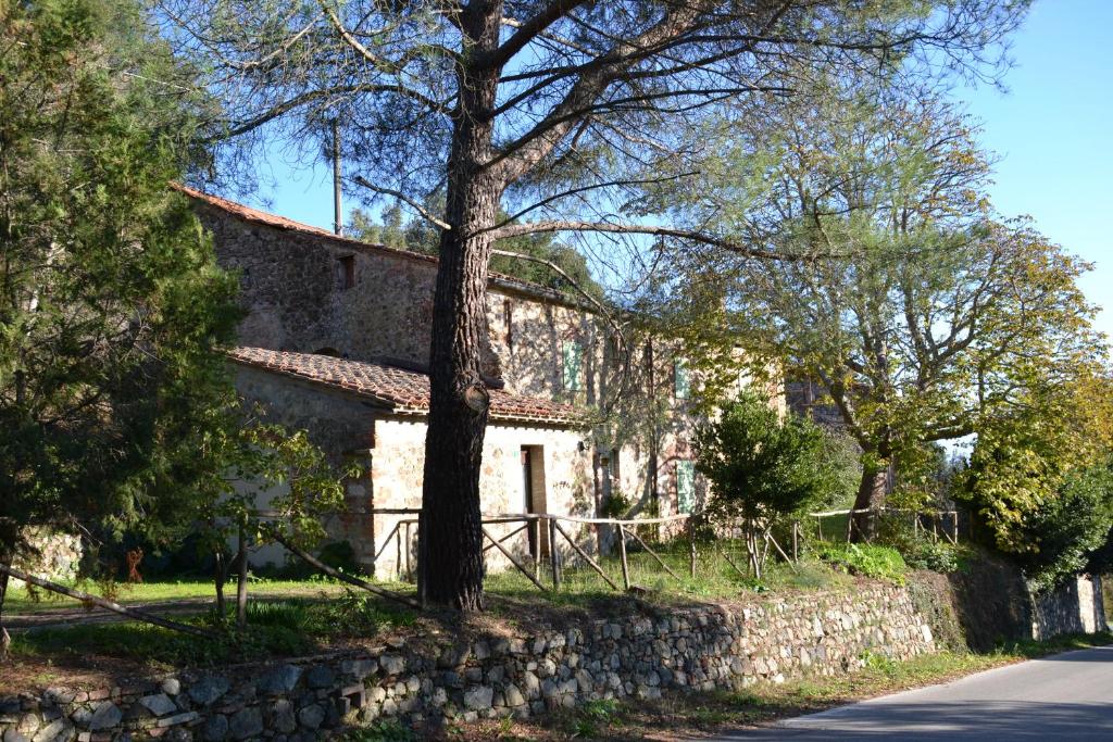 a house with a tree and a stone wall at LA GRANCIA DEL SANTO in Monticiano