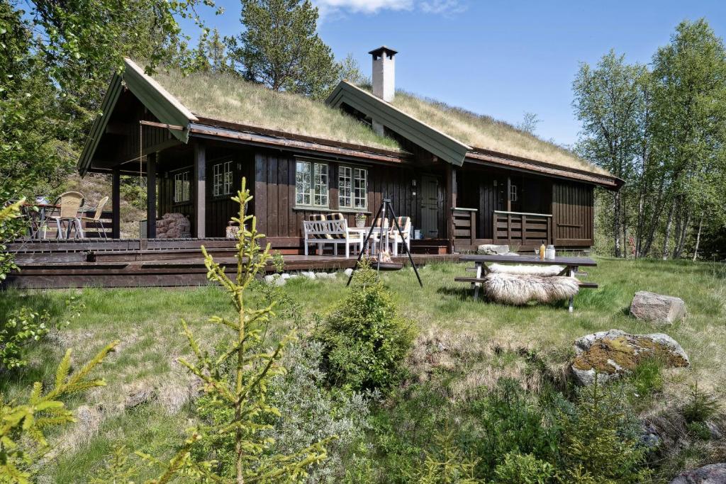 a log cabin with a grass roof at Mountain Cabin With Great Views in Austbygdi