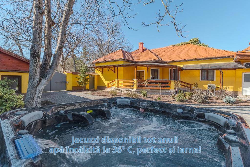 a house with a plunge pool in front of a house at Thermalis House, 5 bedrooms in Baile Felix