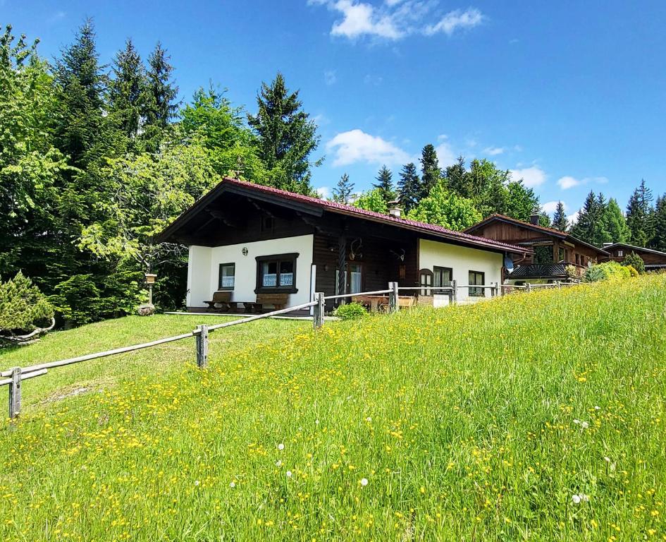 a house on the side of a hill with a field at Almliesl KRIS-750 in Krispl