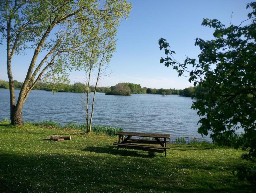 a picnic table in the grass next to a lake at Les Clés Nature Studio 42 in Moutiers-sous-Chantemerle