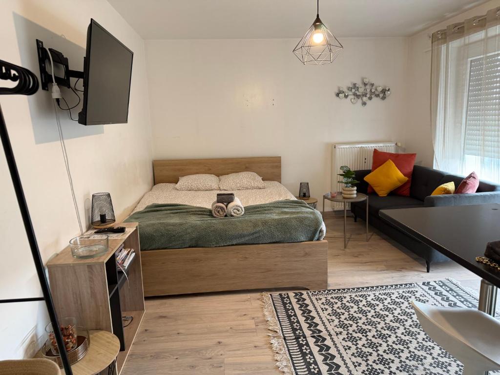 Joli Studio A Euroairport-BASEL-MULHOUSE-FREIBURG